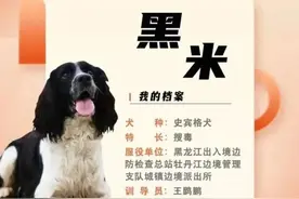 这15条警犬成为国家移民管理局首批“功勋犬”图片