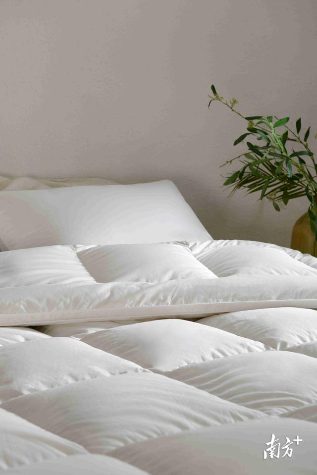 吴川seo排名（小羽毛有大目标吴川羽绒产业向百亿产值进发）