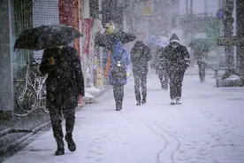 123年来首次！日本去年新生儿数跌破80万，17~19岁年轻人中仅16.5%愿意结婚图片