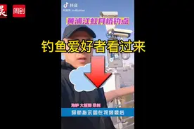 视频｜钓鱼爱好者看过来！黄浦江东岸已有2处“合法”钓鱼区，苏州河也在酝酿划定多个钓鱼点位图片