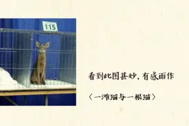 用AI做动画？《猫儿与时光铃铛》主创分享“吃螃蟹”经验图片