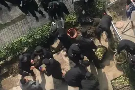 老人公共绿地摆放盆栽被强行倾倒？律师：可令其挪走，如此清理已侵犯财产权图片