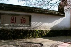三月花醒好时节，古人喝茶气氛组上线！图片
