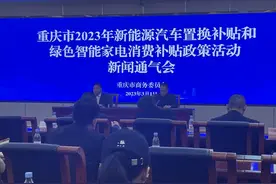 在渝购买新能源汽车 最高补贴3000元图片