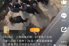 老人自家院子种菜被城管上门强行清理？实为占用公共地块，已提前数天告知图片