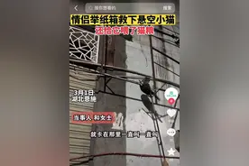 情侣举纸箱救下悬空小猫：还给它喂了猫粮图片