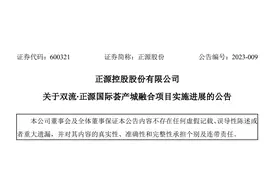 关于双流∙正源国际荟产城融合项目，正源控股股份有限公司公布最新进展！图片