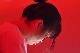 （新华全媒+）工厂化培育授粉熊蜂图片