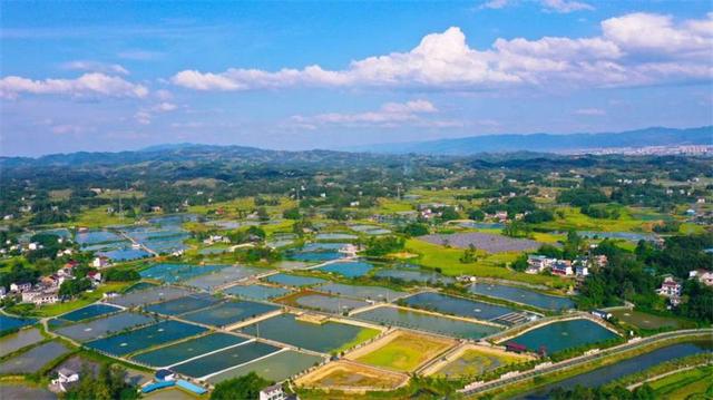 重庆市梁平区——没有大江大湖为何能成“国际湿地城市”？