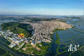 饶平县“中国·汫洲大蚝之乡”通过专家评审图片