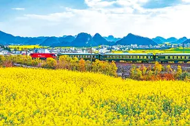 画里有话｜不负好春光图片