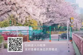 收藏！武汉最新赏樱地图来了图片