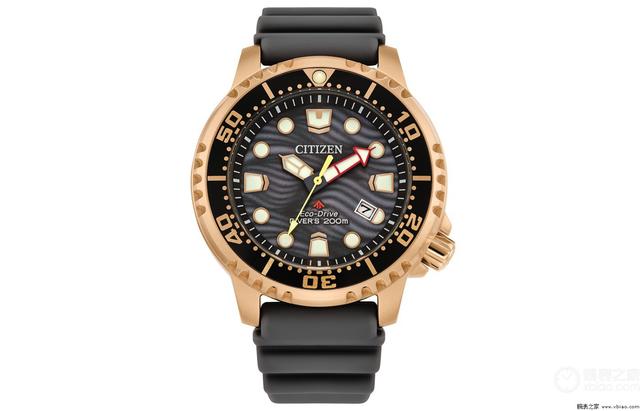 �������Ƴ�����ȫ��Promaster Dive���