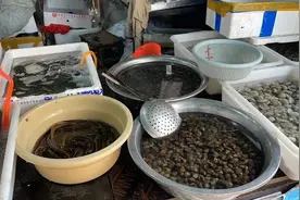 “春鲜”上新！老板凌晨3点就去忙：“现在是最好吃时候”图片