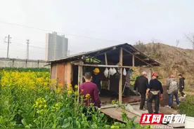 武陵区南坪街道：控违有力度 治违有温度图片