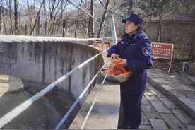 世界野生动植物日  |  神农架官门山野生动物救护站里有位“熊妈妈”图片