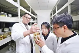 在喜马拉雅山发现99种“新蜘蛛”图片