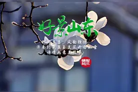 3月4日最佳情报|玉兰花开白如雪，田间地头春耕忙！恭喜获奖图片