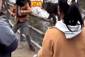 峨眉山的猴子和游客“互殴”？图片