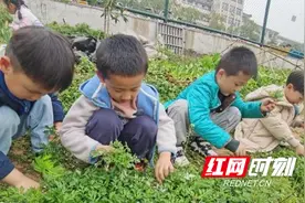 一口一个“春天”  一手一个“生活力”图片
