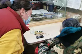 从通州跑到西城！七旬老人迷了路，社工将她送回家图片