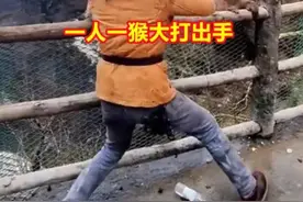 一人一猴大打出手？当事人回应图片