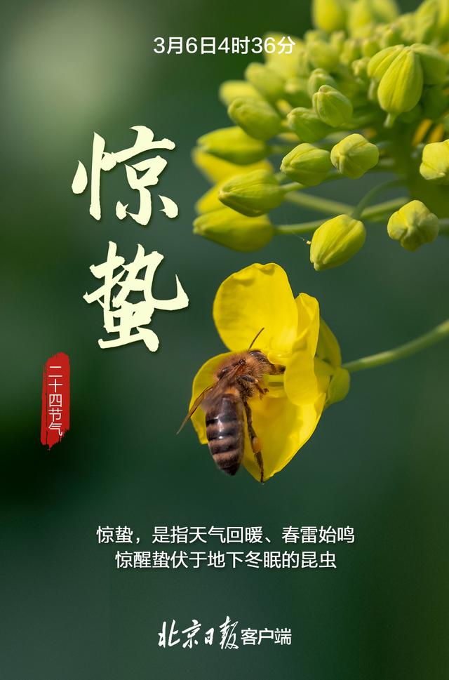 今日惊蛰