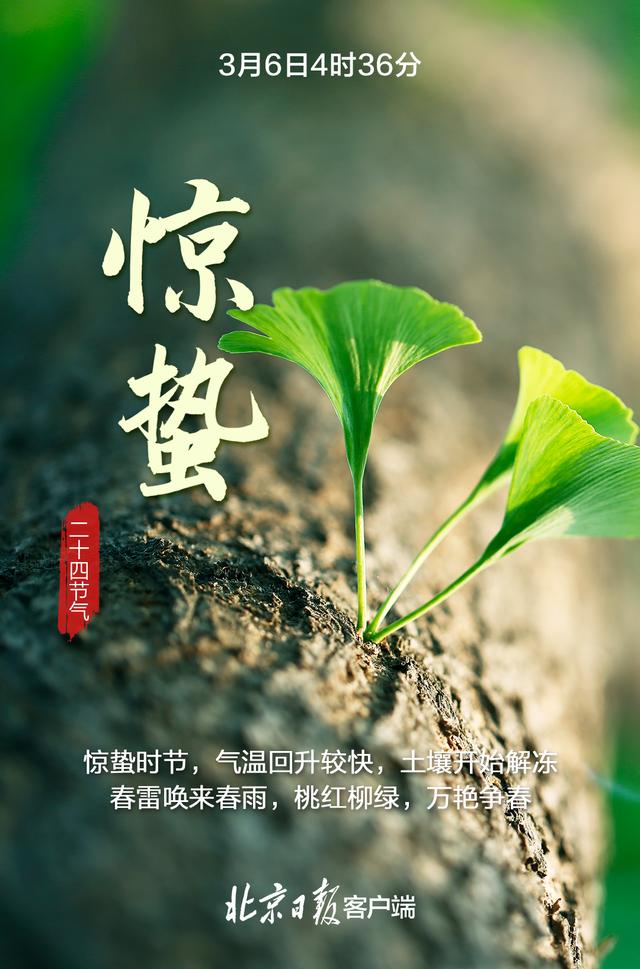 今日惊蛰