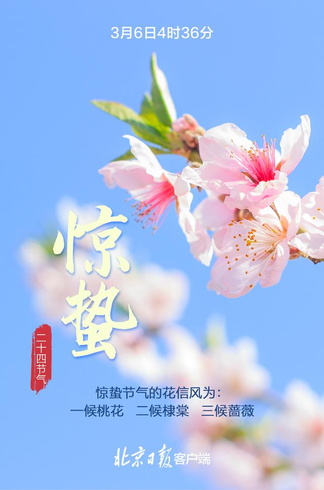 今日惊蛰