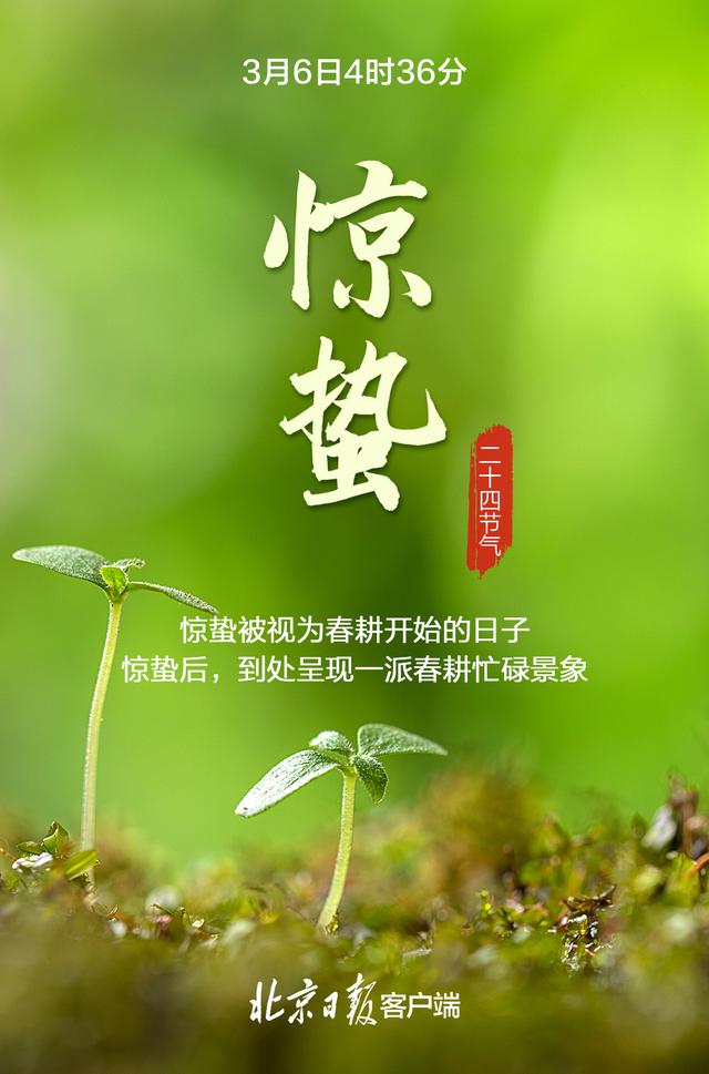 今日惊蛰