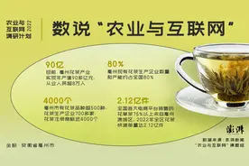 农业与互联网｜亳州花茶：一三产联动，青年人才慕茗而来图片