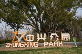 花朵、绿叶、小锤子……植物拓印帆布袋，你做过吗？图片