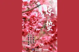 节令之美·惊蛰丨春雷响，天渐暖，万物生机盎然图片