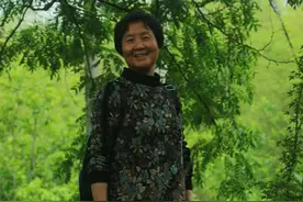 上岛拔春笋，重温少年趣图片