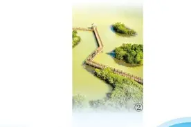 黄河口 河海交汇处，湿地气象新图片