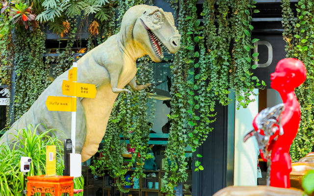 花胶炖菜胆 广州 花胶炖菜胆窍门