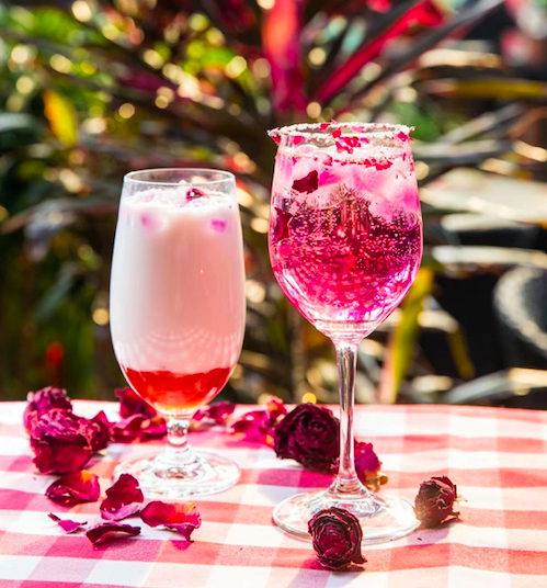 花胶炖菜胆 广州 花胶炖菜胆窍门