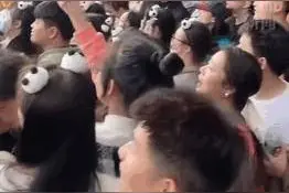 熊猫界“女顶流”花花的五大流量密码图片