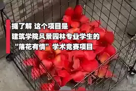 广东一高校收集木棉花煲汤用？实为学生学术竞赛项目图片