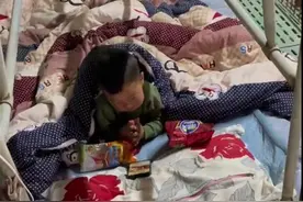 95后爸爸在猪圈给娃搭床：照顾儿子又养猪很辛苦，但至少能陪孩子图片