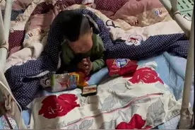 95后爸爸在猪圈给娃搭床：照顾儿子又养猪很辛苦，但至少能陪孩子图片