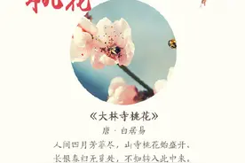 跟着18首古诗去赏花图片