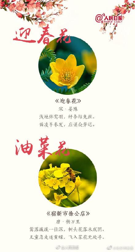 跟着18首古诗去赏花