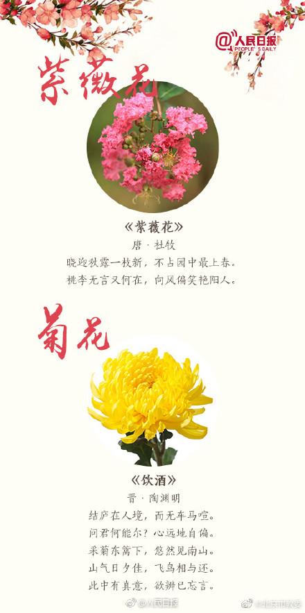 跟着18首古诗去赏花