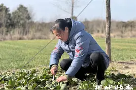 “嫂子说句话，比母亲还管用！”盐城滨海农妇用爱撑起两个家庭图片