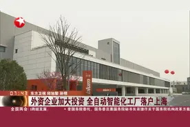 外资企业加大投资 全自动智能化工厂落户上海视频封面