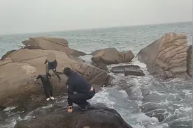 果然视频丨险！海边垂钓不懂潮汐规律，青岛俩游客被困礁石图片
