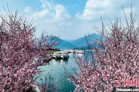 春暖三峡 花漾峡江图片