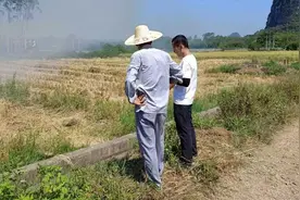 秸秆禁烧、禁养家禽……地方政府执行政策夹带“私货”，什么时候能告别“一刀切”？视频封面