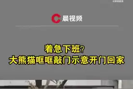 真聪明！大熊猫着急“下班”，哐哐敲铁门图片